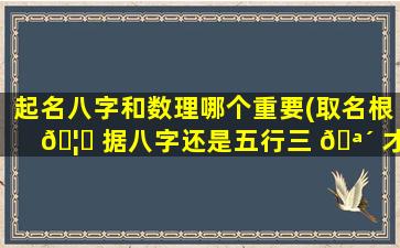 起名八字和数理哪个重要(取名根 🦊 据八字还是五行三 🪴 才)